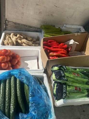 корзина для овощей: Овощи оптом в термоконтейнерах Ассортимент: - Огурец длинный