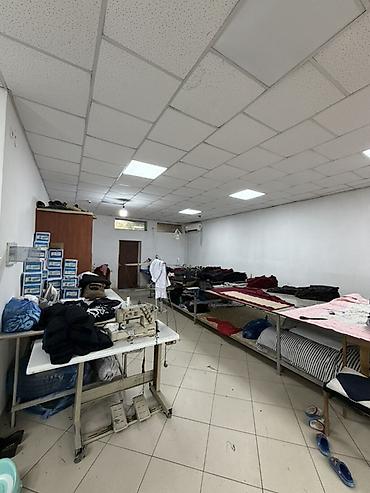 сдаётся студия: Сдается в аренду коммерческое помещение – 70 м² Сдается универсальное — 1