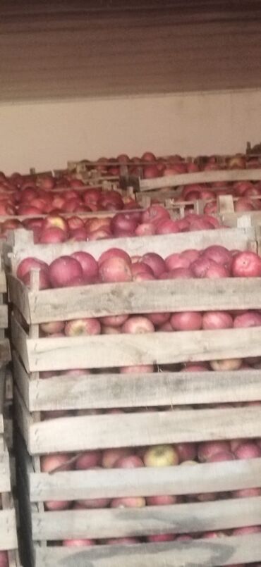 cennet almasi murebbesi: Məhsul: Qırmızı alma (xırda və orta ölçülü) Təsvir: - Taxta və