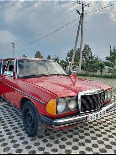 на мерс 123: Mercedes-Benz W123: 1981 г., 2 л, Механика, Дизель, Седан — 7