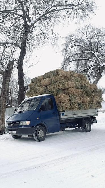 эт кесебиз: Грузовое такси на базе Mercedes-Benz Sprinter. - Перевозка различных — 2