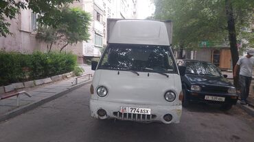 опель внедорожник: Легкий грузовик, Hyundai, Стандарт