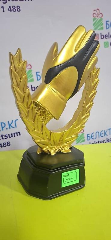 награды: Статуэтки по футболу и волейболу — от 500 сом, гравировка в подарок — 6