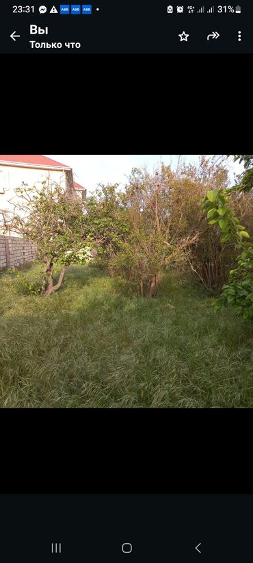 sumqayit bagca seher: 4 sot, Tikinti, Mülkiyyətçi, Kupça (Çıxarış)
