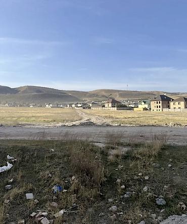 ауца: 250 соток, Договор купли-продажи — 2