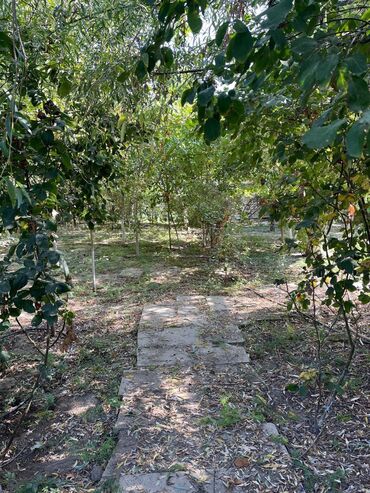 Köhnə tikili: İmişli, 5 otaqlı, Köhnə tikili, 95 kv. m -da lalafo.az — 15 Köhnə tikili: İmişli, 5 otaqlı, Köhnə tikili, 95 kv. m — 15