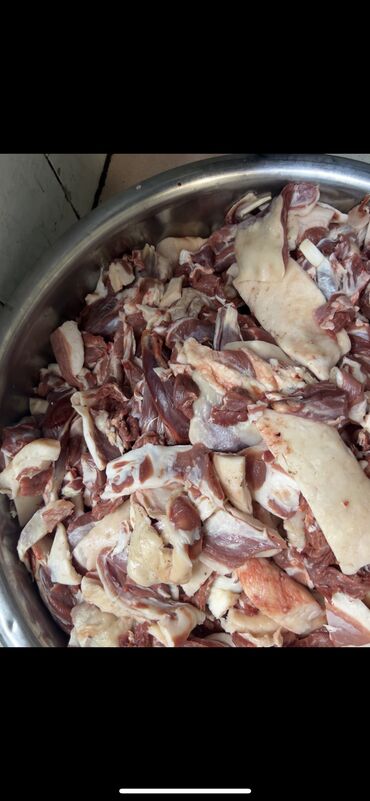 Мясо: Баранина : Голень, Курдюк, Лопатка, Более 10 кг, Самовывоз, Платная доставка