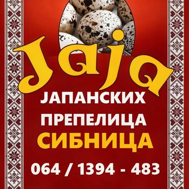 Zdrava hrana: U stalnoj ponudi uvek sveža i lekovita jaja japanskih prepelica. Cena — 9