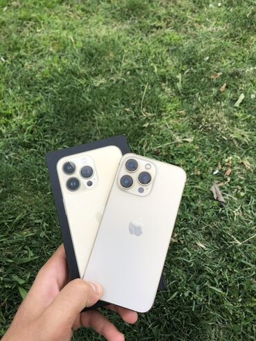 телефон раскладушка fly ezzy trendy для пожилых: IPhone 13 Pro Max, Золотой