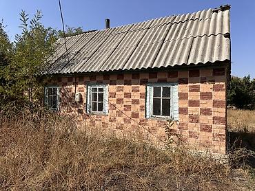 аренда дом без хозяина: 25 соток, Красная книга — 6