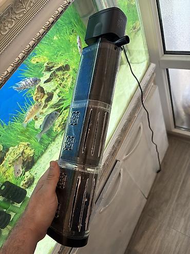 Akvarium aksessuar və ləvazimatları: Filter 10 gün işlənib yarı qiymətə satılır — 1