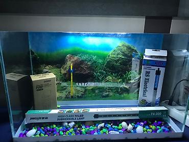 akvarium baliqlari qiymeti: Dördbucaq akvarium, Boş, 35 l, Ünvandan götürmə, Ödənişli çatdırılma — 1