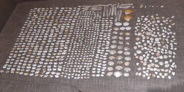 Ostali kućni dekor: Bоја - Šareno, Novo — 9