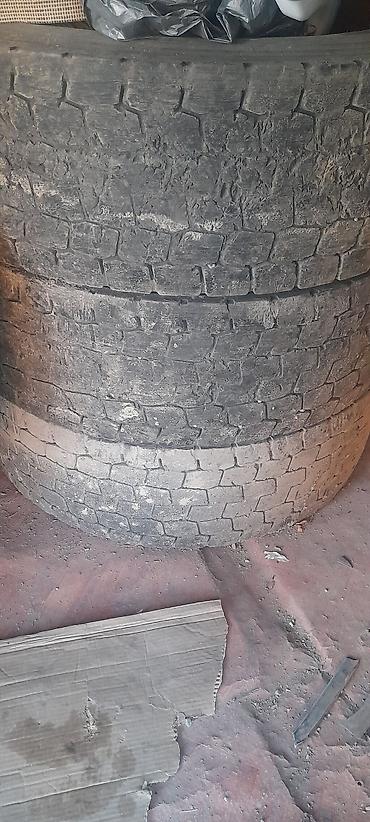 315.70.22.5: Грузовые шины Greforce 315/70 R22.5 - Размер: 315/70 R22.5 - — 3