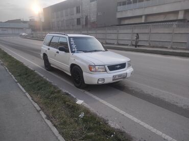 Subaru: Subaru Forester: 2003 г., 2.5 л, Автомат, Бензин, Универсал