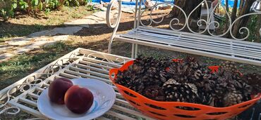 Kuće na prodaju: 145 kv. m, 4 sobe — 25