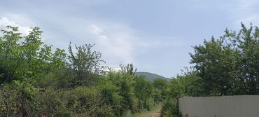 Torpaq sahələrinin satışı: Kənd təsərrüfatı — 4