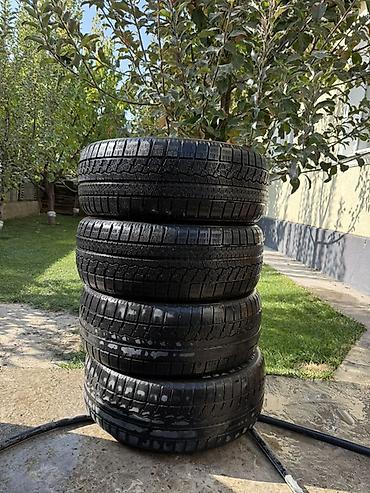 r 21: Комплект зимних шин 215/55 R17 94H (4 шт.) - Тип: зимние — 1