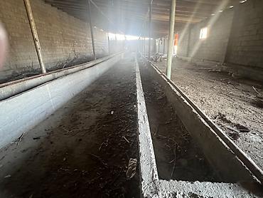 Продажа сельхоз предприятий: Сельскохозяйственные корпуса/сараи под фермерство Описание: - — 6