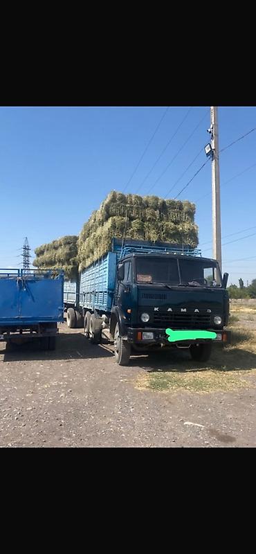 Кастра с сеном молодая плотные и большие тюки at lalafo.kg Кастра с сеном молодая плотные и большие тюки