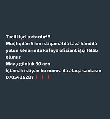 gəncə yuk dasima: Ofisiant tələb olunur, Kafe, Gündəlik ödəniş, İstənilən yaş — 1