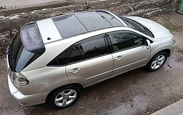 Lexus: Lexus RX: 2005 г., Кроссовер — 6