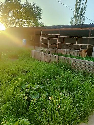 Продажа домов: 5 и более комнат, 100 м², 7 соток, Бирдик, Собственник — 4