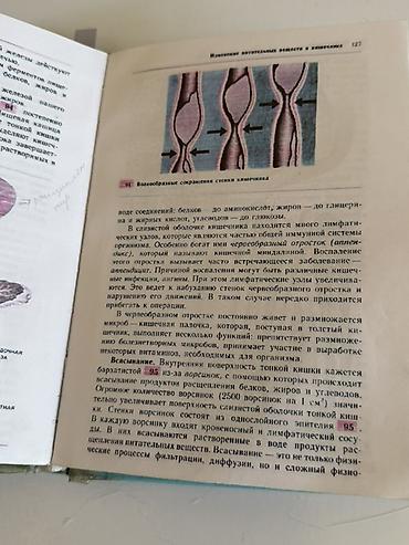 тексты: Учебник: «Биология. Человек и его здоровье», 9 класс Авторы: А. М — 3