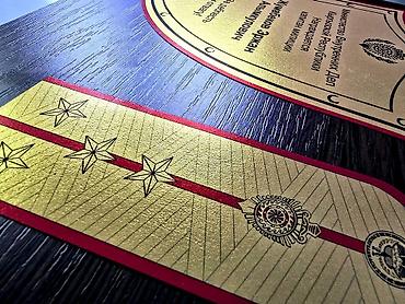 Значки, ордена и медали: Плакетки как наградная атрибутика представляет собой особый статус — 8