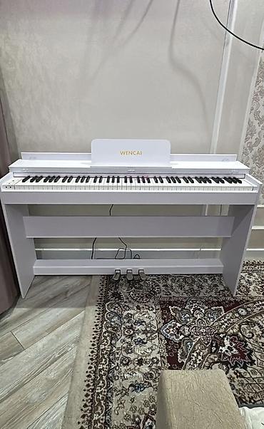 Пианино: Полноактавное акустическое пианино, цветной понятный дисплей, вы — 12