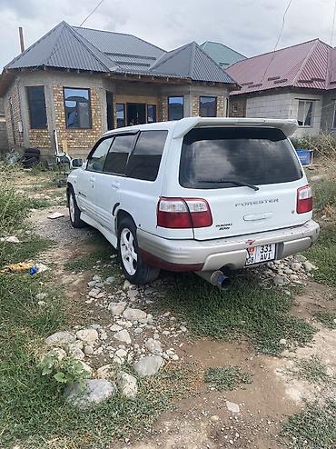 сф5: Subaru Forester: 2000 г., 2 л, Механика, Бензин, Универсал — 3