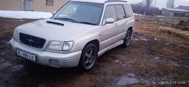 Subaru: Subaru Forester: 2000 г., 2 л, Автомат, Бензин, Внедорожник