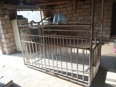 pişik yem qabı: Metal heyvan qəfəsi / tövlə bölməsi - Material: qalın polad