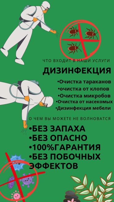 дезинфекция дома от клопов ош: Дизинфекция,очистка домов и квартир от насекомых,микробов,бактерий и
