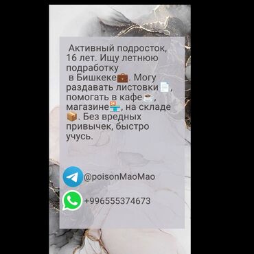 Другие услуги: Активный подросток, 16 лет. Ищу летнюю подработку в Бишкеке. Могу