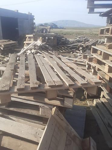 paddon satılır: Taxta paletlər – istehsal və topdansatış - Material: iynəyarpaq və — 1