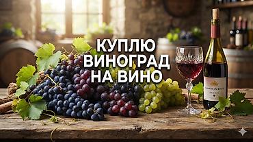 Виноград Оптом at lalafo.kg Виноград Оптом