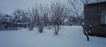 Torpaq sahələrinin satışı: 10 sot, Biznes üçün, Mülkiyyətçi, Kupça (Çıxarış) — 9