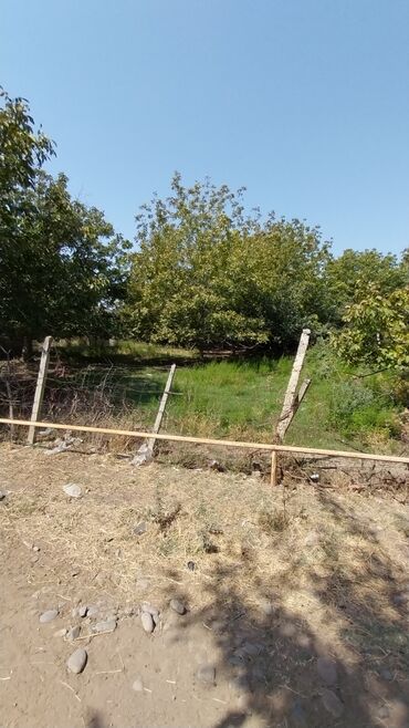 Torpaq sahələrinin satışı: 8 sot, Tikinti, Maklerlər narahat etməsin, Kupça (Çıxarış) — 2