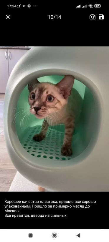 Зоотовары: Кошачий туалет — 4