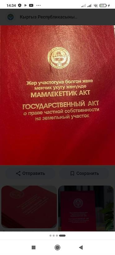 полевной земля: 5 соток, Красная книга — 1
