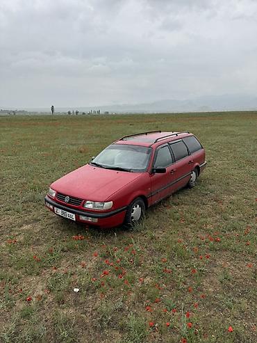 neta ls: Volkswagen Passat Variant: 1995 г., 1.8 л, Механика, Универсал — 8