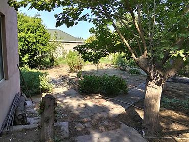 bakida satilan evler: 4 otaqlı, 200 kv. m, Orta təmir — 3