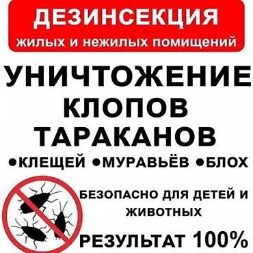 депаразит цена: Дезинфекция, дезинсекция, | Блохи, Вирусы, микробы, Клопы, | Кафе, магазины, Квартиры, Подъезды — 2