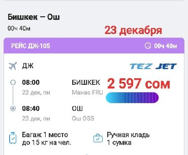 дешевый авиабилет новосибирск бишкек