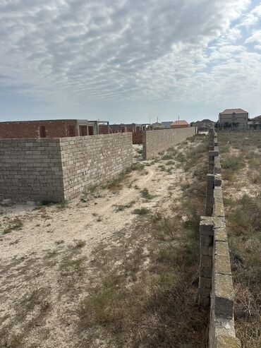 сайты недвижимости в азербайджане: 42 sot, Kənd təsərrüfatı, Mülkiyyətçi, Kupça (Çıxarış), Texniki pasport