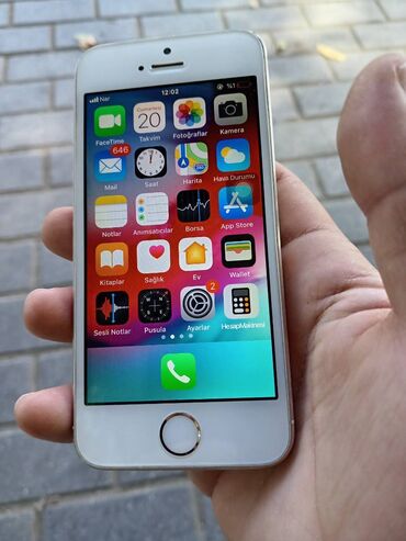 iphone 5 zapcast: IPhone 5s, 16 GB, Qızılı, Barmaq izi
