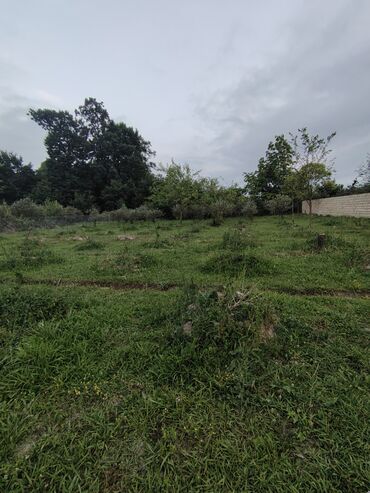 Torpaq sahələrinin satışı: 25 sot, Tikinti, Mülkiyyətçi, Bələdiyyə -da lalafo.az — 10 Torpaq sahələrinin satışı: 25 sot, Tikinti, Mülkiyyətçi, Bələdiyyə — 10