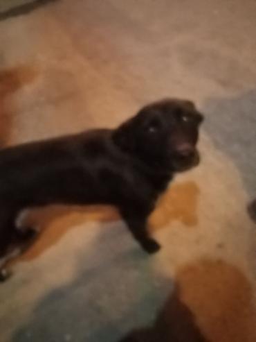 Посуточная аренда квартир: 1 комната, Кондиционер, Интернет, Wi-Fi, Банные принадлежности — 12