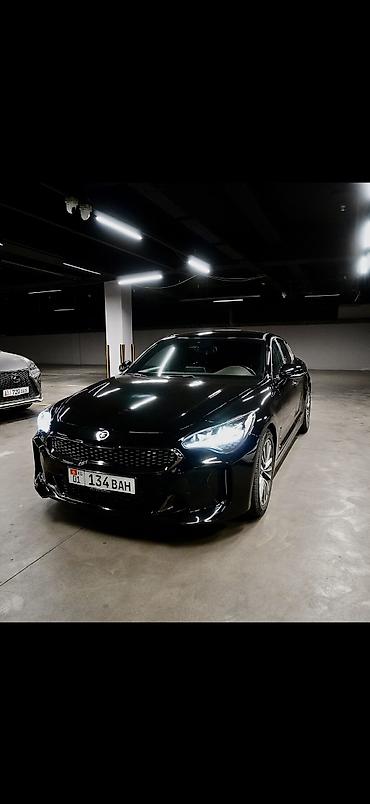 киа стрингер: Kia Stinger: 2019 г., 2 л, Автомат, Бензин, Лифтбек — 1